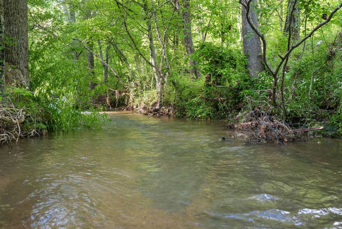 16 Acre Family Compound With Two Homes Real estate listing