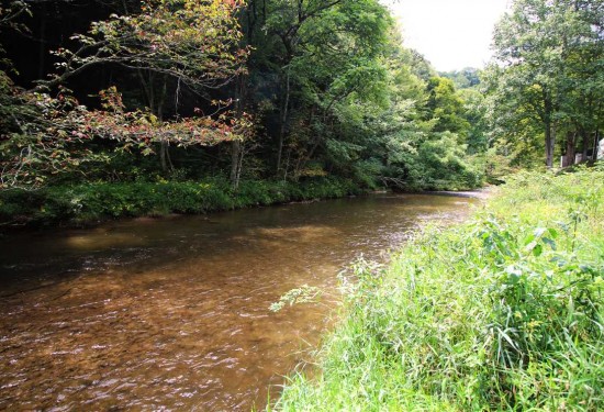 81.94 Acres of Land for Sale in ashe County North Carolina