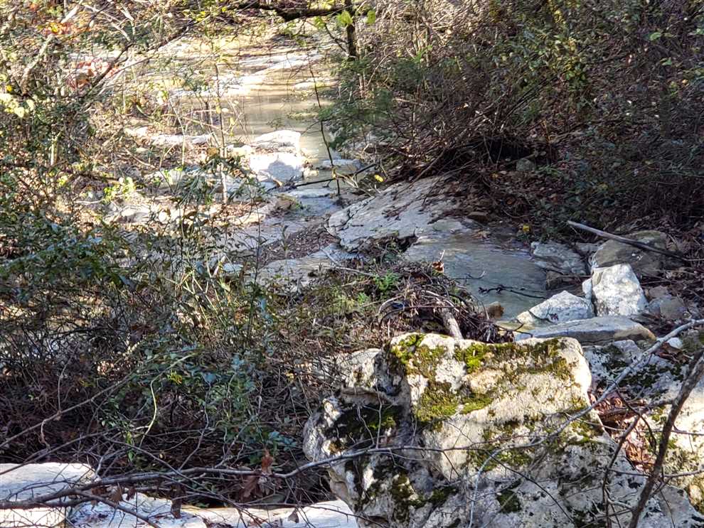 newton County, Arkansas property for sale