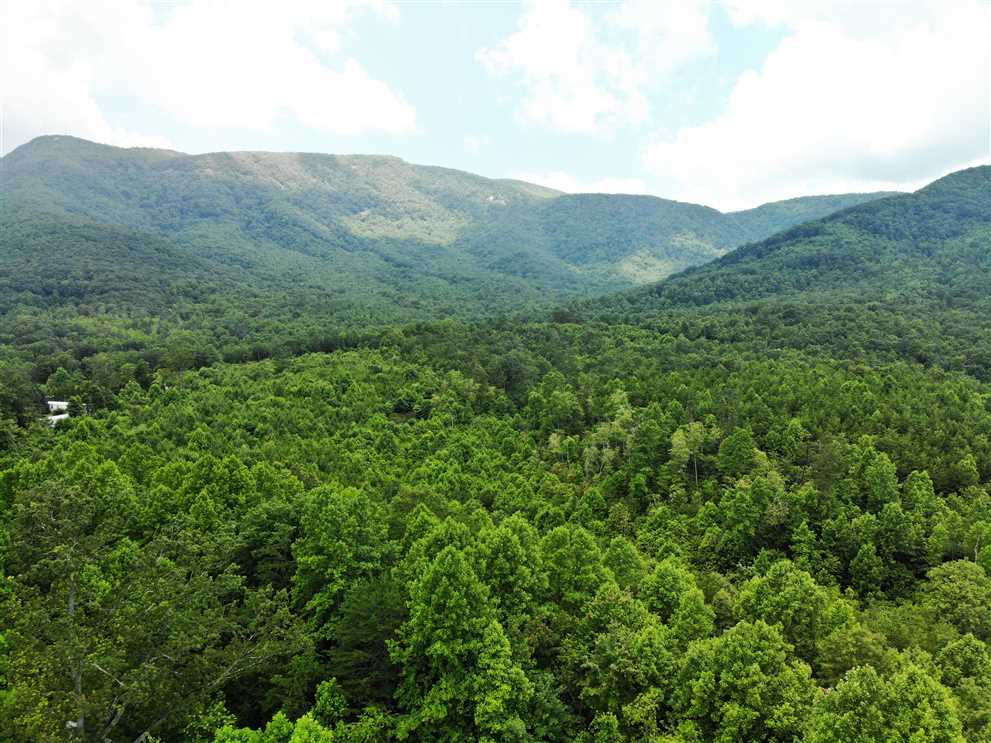 79.28+/- Acres in Lowgap, Surry County Real estate listing