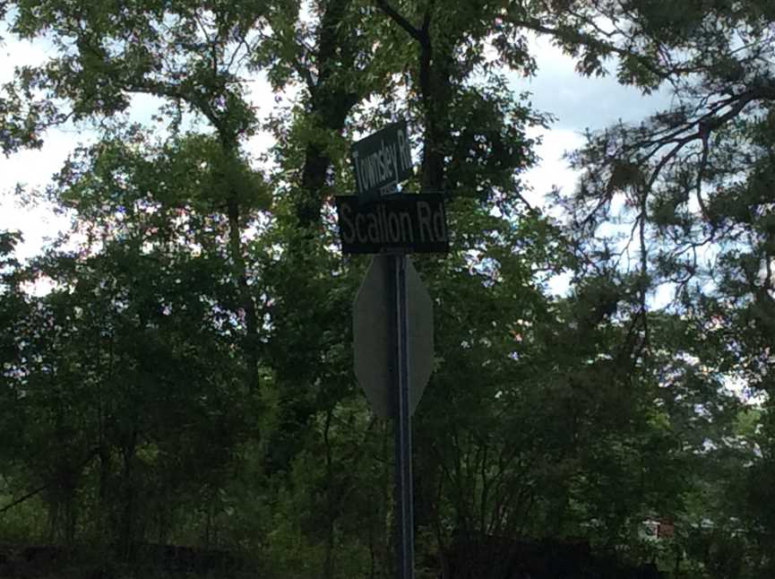 Townsley Road Tract, Beauregard Parish, 57 Acres +/- Real estate listing