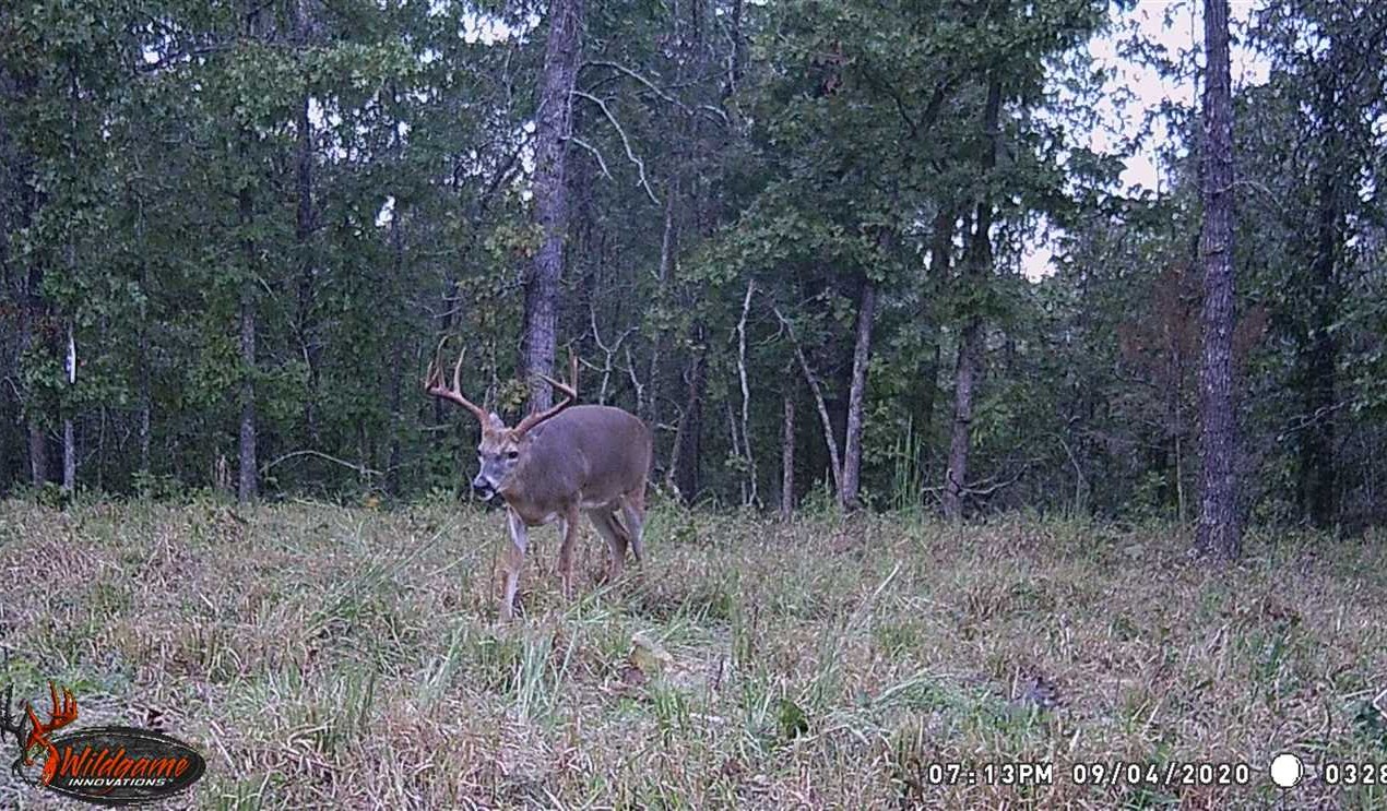 112 Acres of Land for Sale in fulton County Arkansas