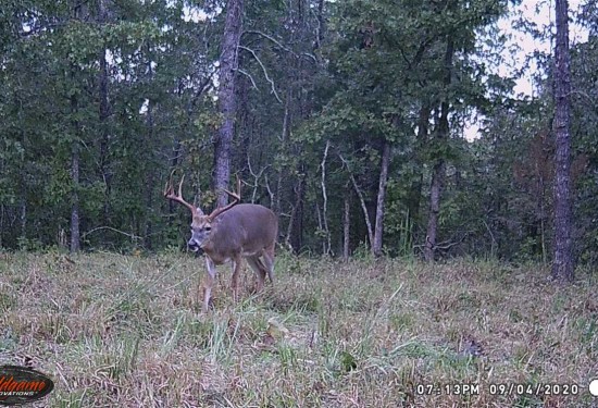 112 Acres of Land for Sale in fulton County Arkansas