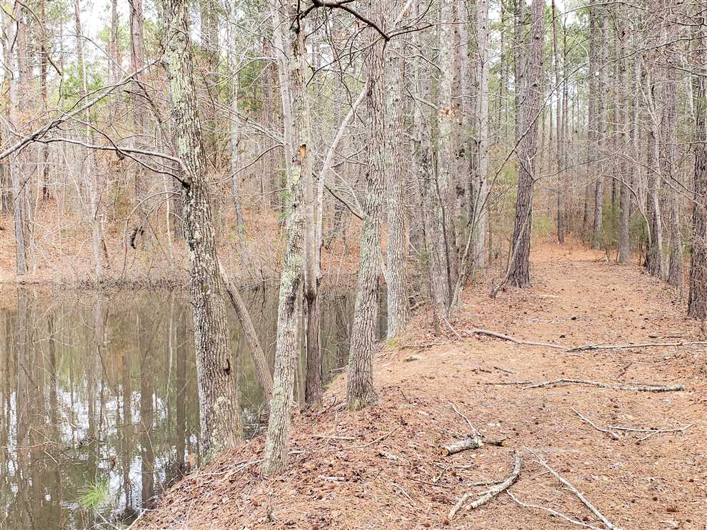 Land for sale to buy in 29743 zip code