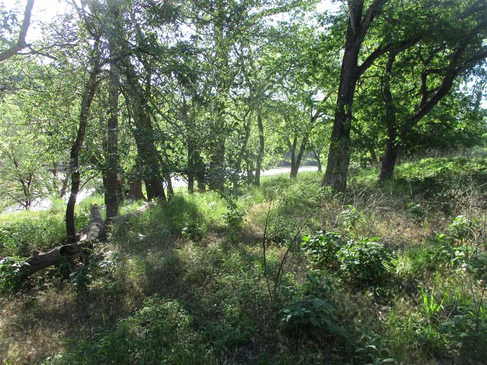 Land for sale at 539 County Road 1750