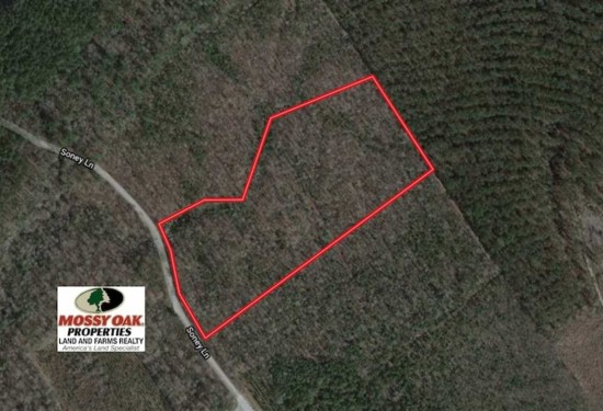 11.66 Acres of Land for Sale in gates County North Carolina