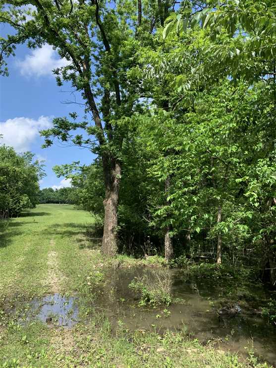 Timberland real estate available to buy