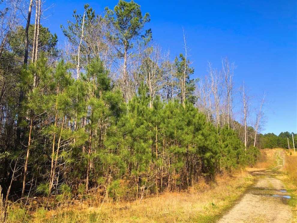 Land for sale at Off Dragonfly Lane