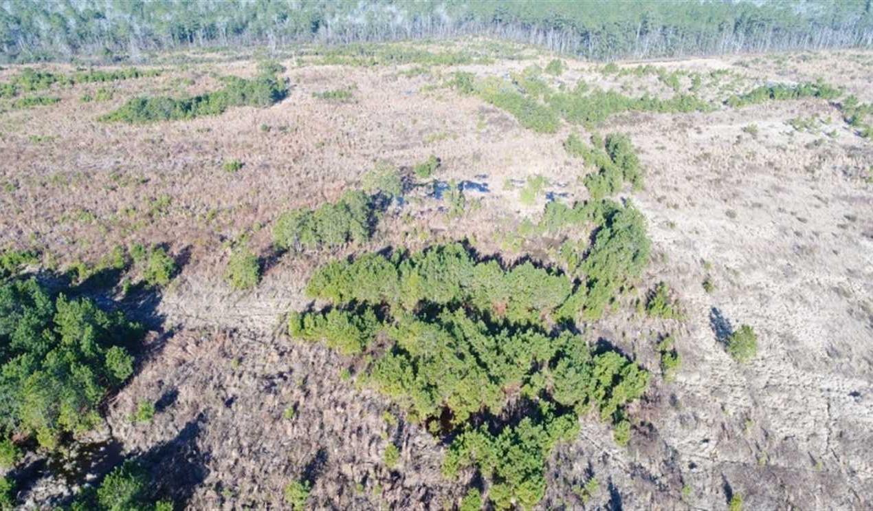 Houses and land for sale in North Carolina
