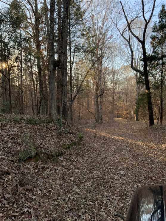 224 Acres of Land for sale in henry County, Tennessee
