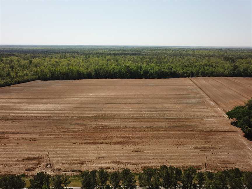 REDUCED!  83 Acres of Commercial Farm and Timber Land For Sale in Tyrrell County NC! Real estate listing