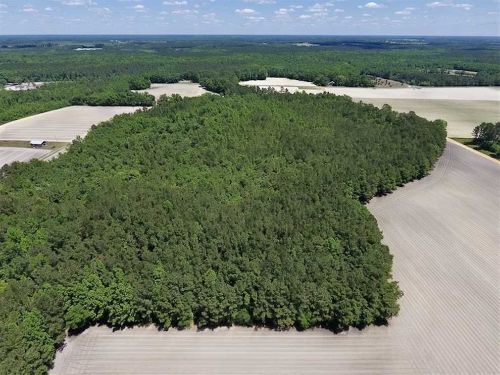 Houses and land for sale in North Carolina