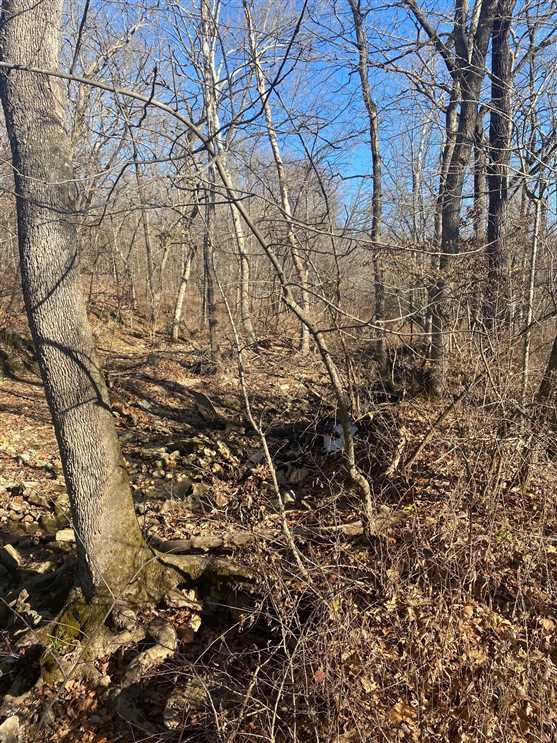 Houses and land for sale in Missouri