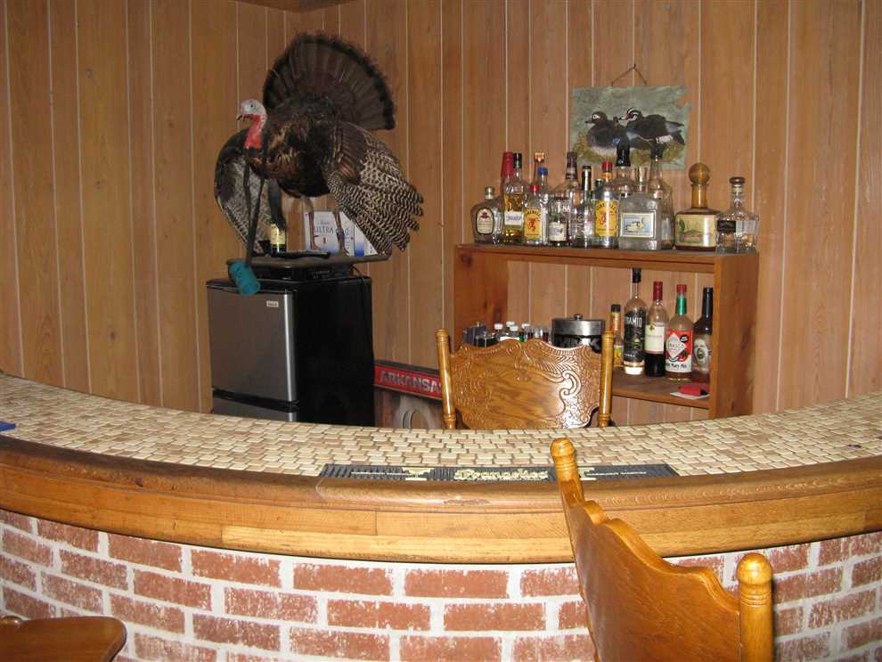 4000 Square foot duck lodge with 57.8 acres timber near Wheatley Real estate listing