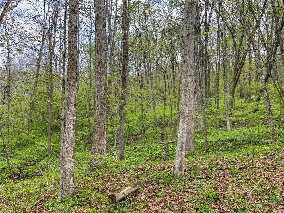 Land for sale at Upper Clearfork Rd
