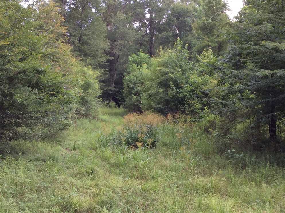 Land for sale to buy in 71479 zip code