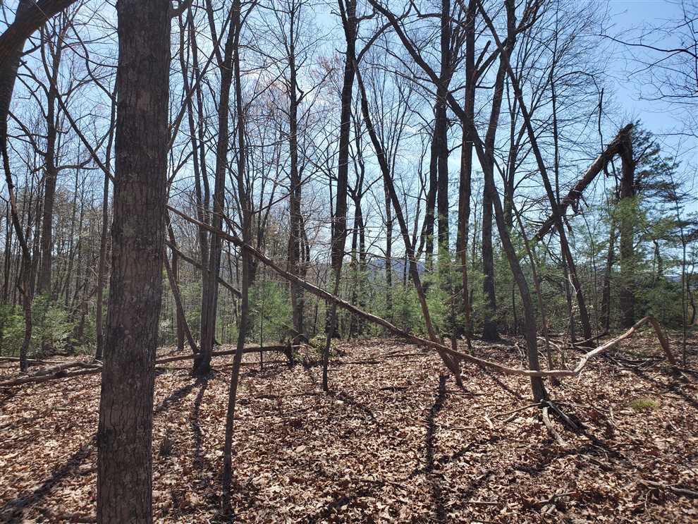 15.3 +/- Acres with Views, Boomer, Wilkes County Real estate listing