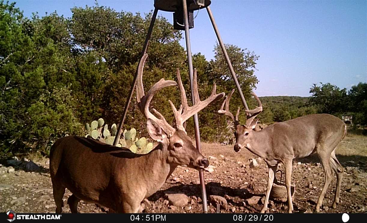 kerr County, Texas property for sale