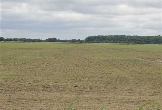 681 Acres of Land for Sale in poinsett County Arkansas