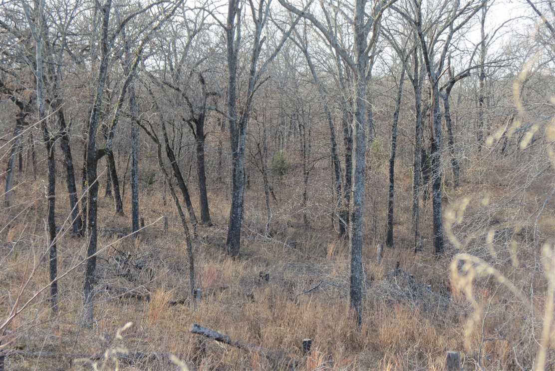 Property for sale at Bachelor Farm Road