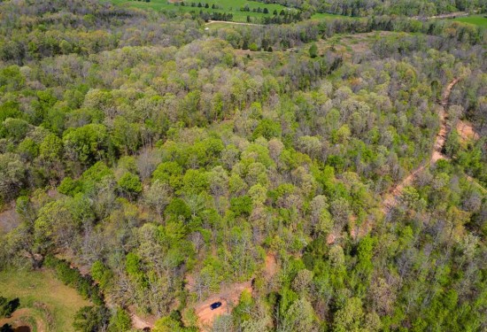 8.2 Acres of Land for Sale in newton County Arkansas