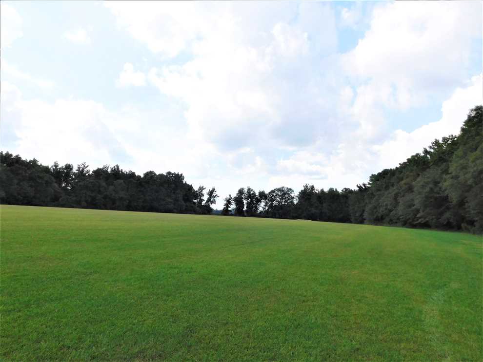 clarendon County, South Carolina property for sale