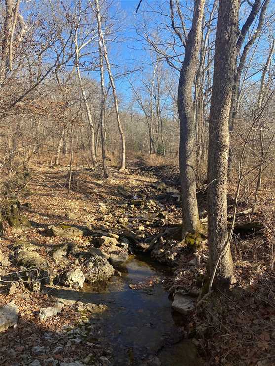 55 Acres of Recreational land for sale in Edwards, benton County, Missouri