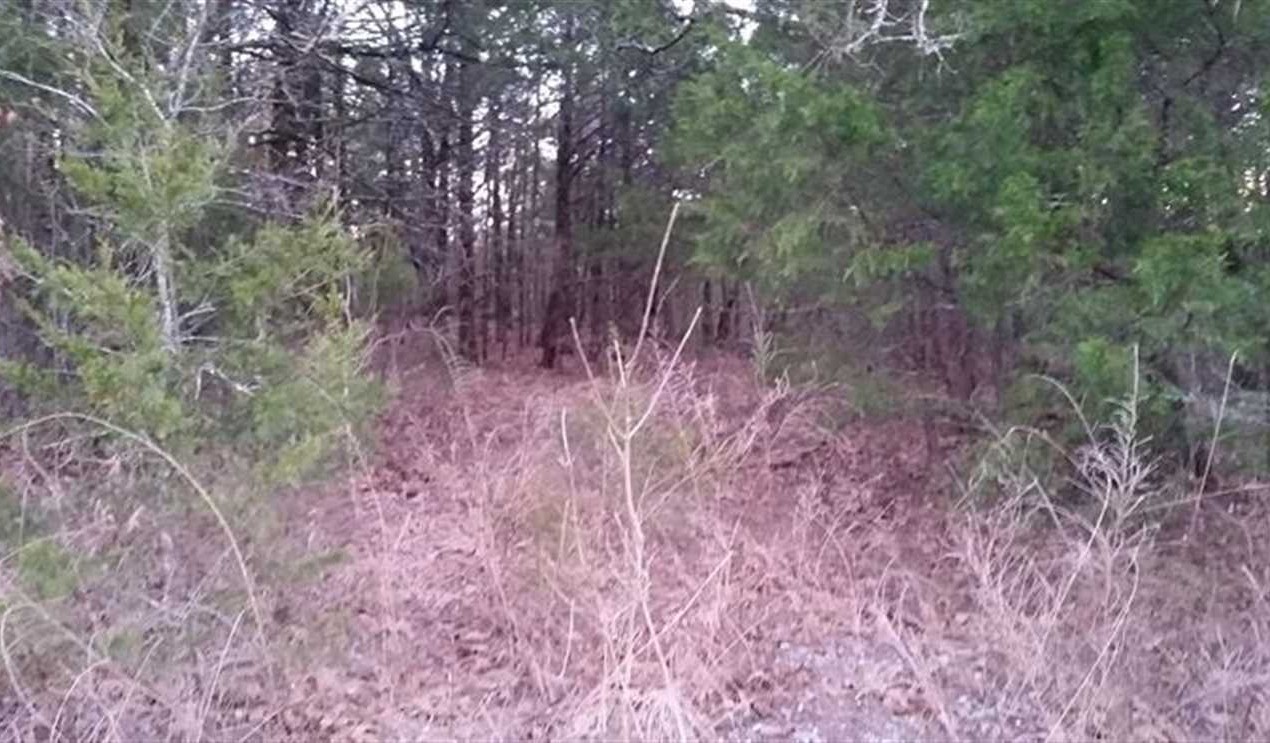 Land for sale at 415806 E 1732 Rd