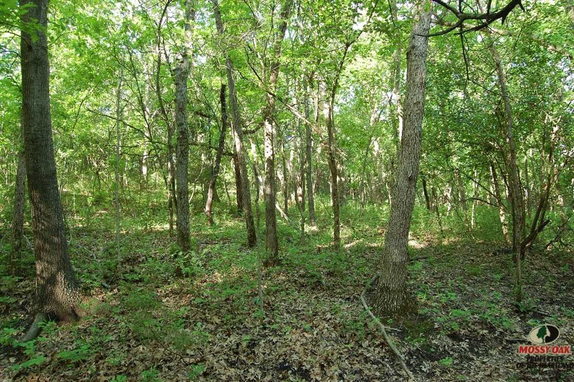 wilson County, Kansas property for sale