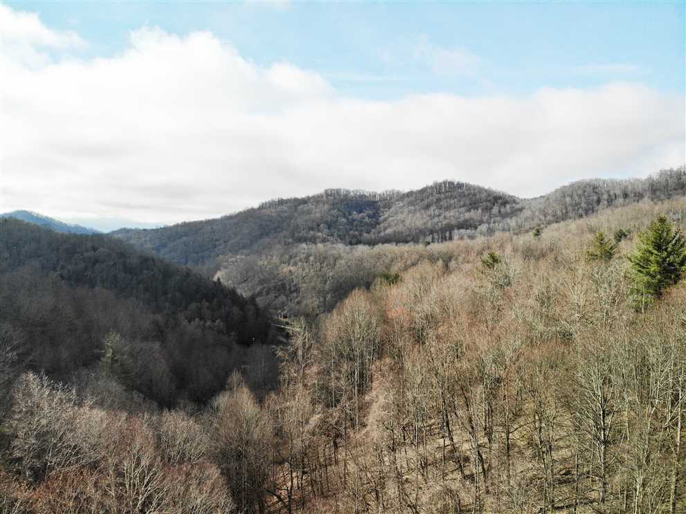 81.94 Acres of Land for sale in ashe County, North Carolina