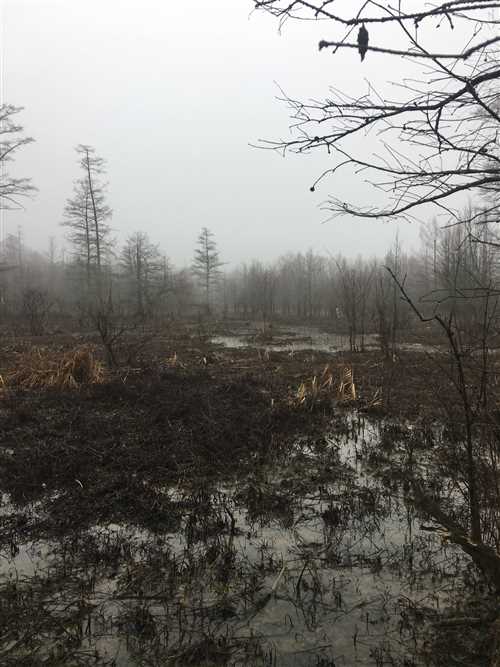 jackson County, Arkansas property for sale