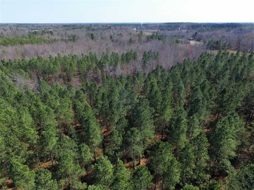 45.55 Acres of Land for sale in mecklenburg County, Virginia