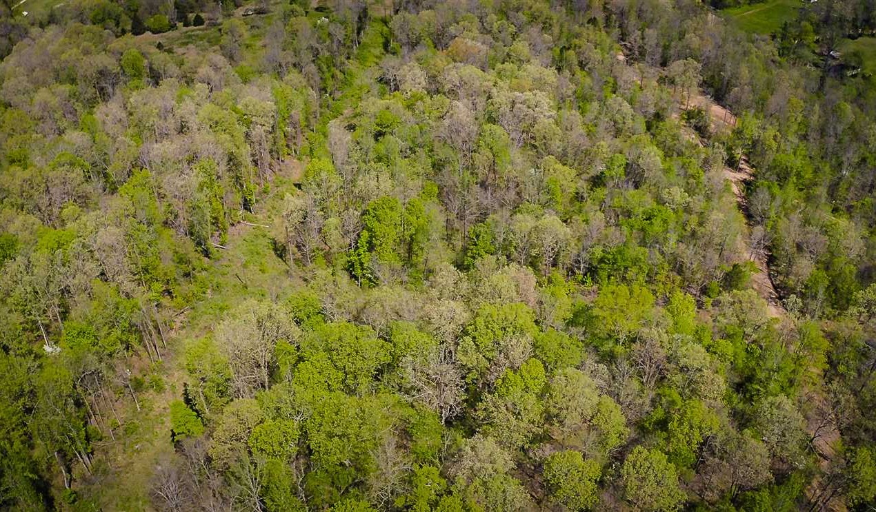 newton County, Arkansas property for sale