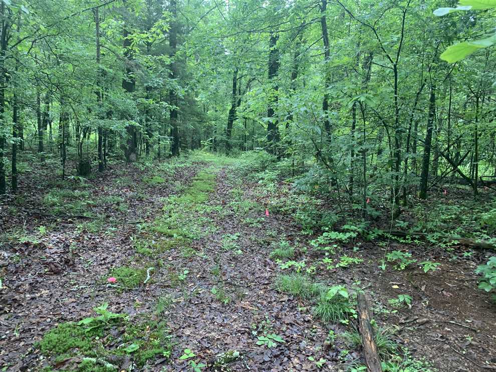 0.47 +/- acre Lot 2 of 2 Little Dunham Rd Real estate listing