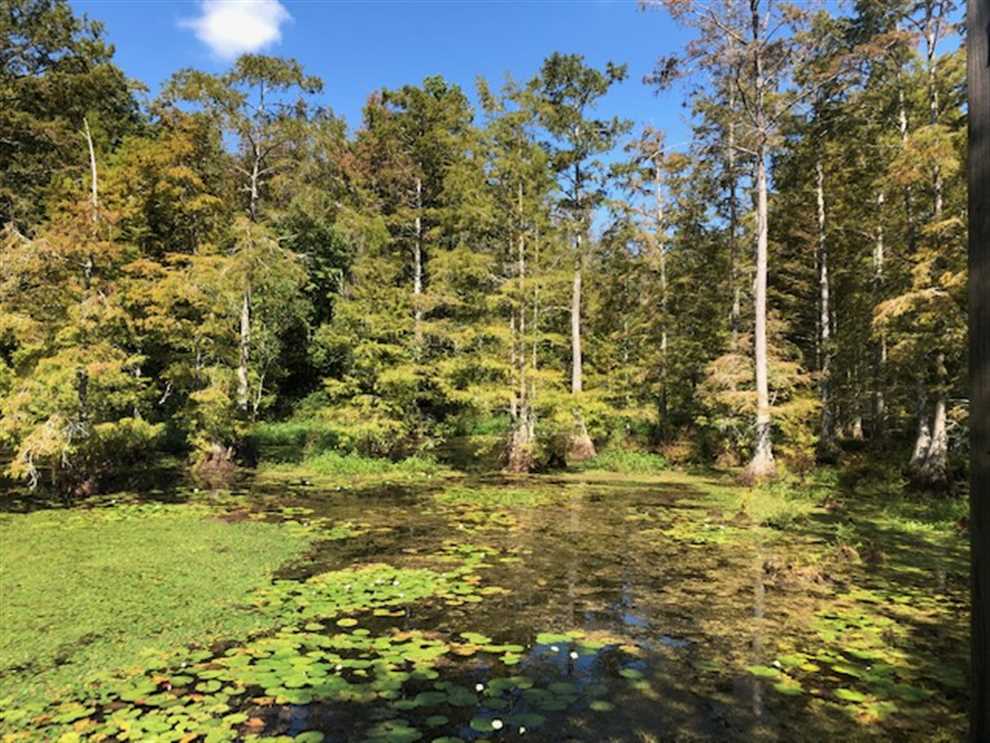 Land for sale to buy in  zip code