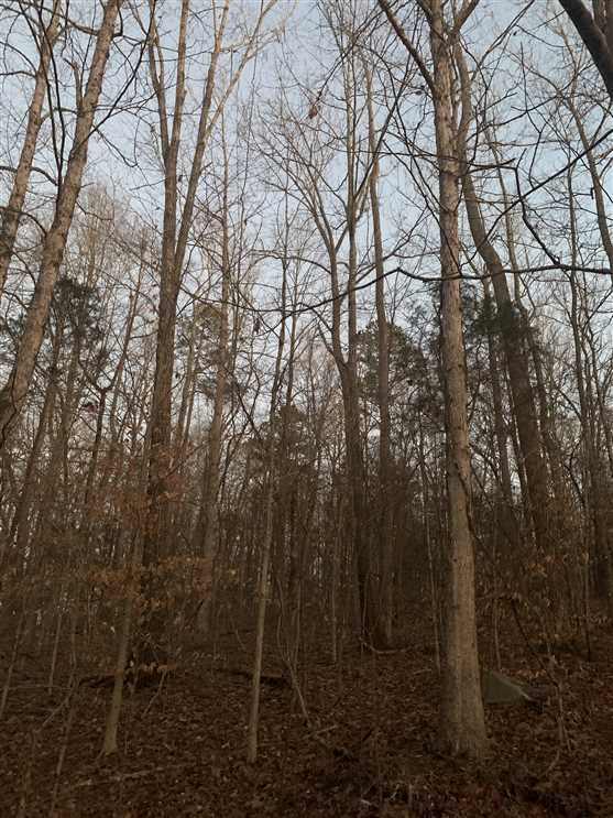Property for sale at 000 Blackberry Road
