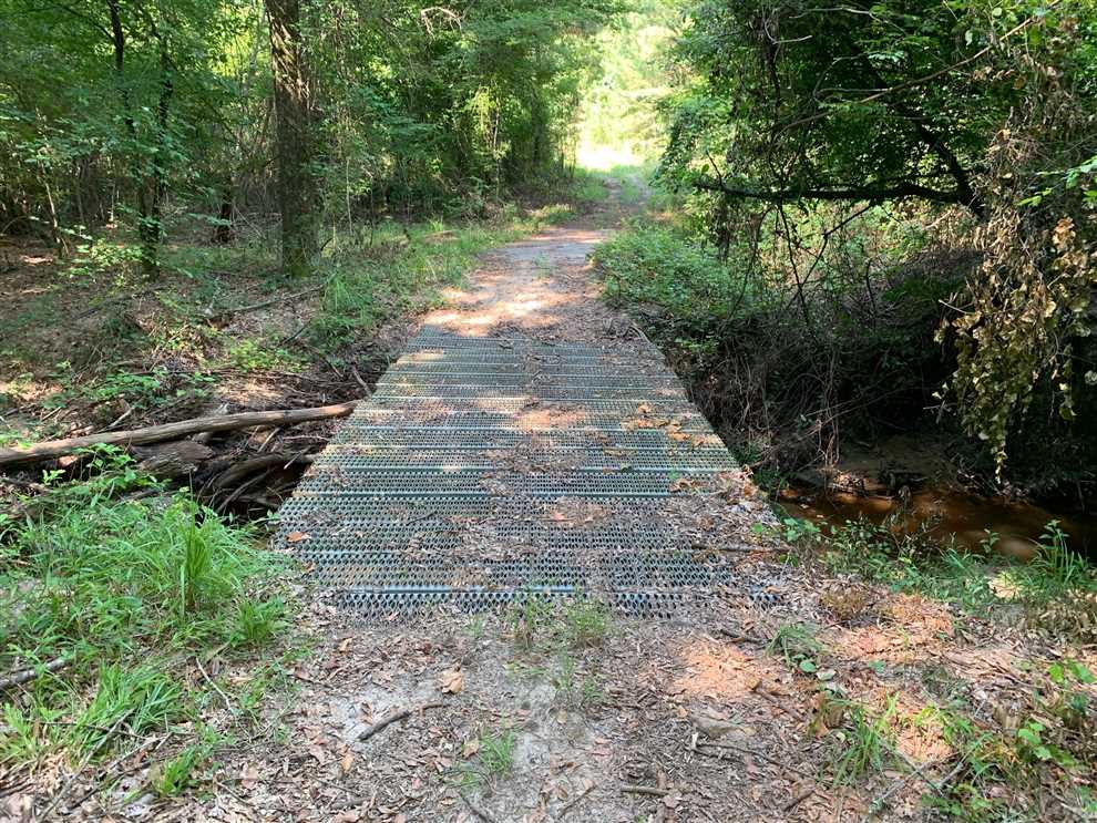 Downsville Tract, Union Parish, 200 Acres +/- Real estate listing