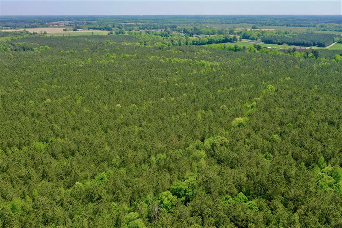 Houses and land for sale in North Carolina