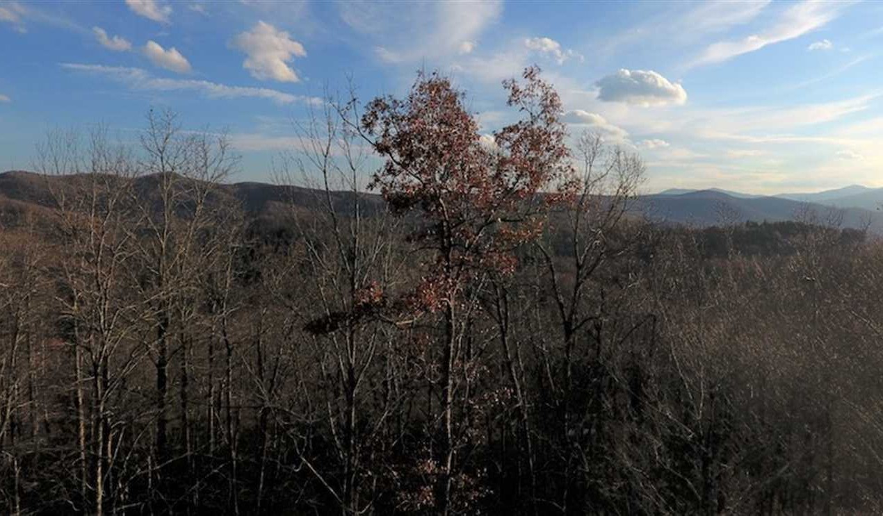 Property for sale at 00 Wintergreen Patch Lane