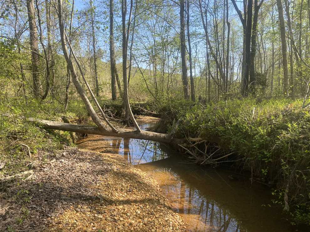 116 Acres of Land for sale in marion County, Alabama