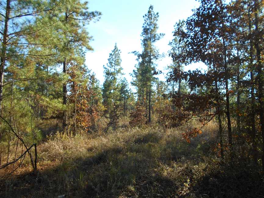 Recreational real estate available to buy