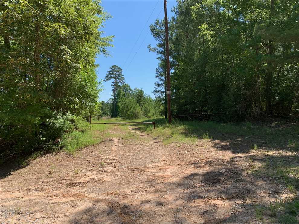 Land for sale to buy in 71251 zip code