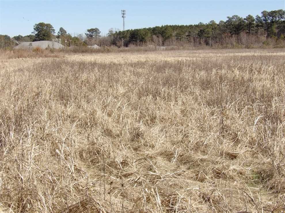 35 acres of Hunting and Recreational Land For Sale in Isle of Wight County, VA! Real estate listing
