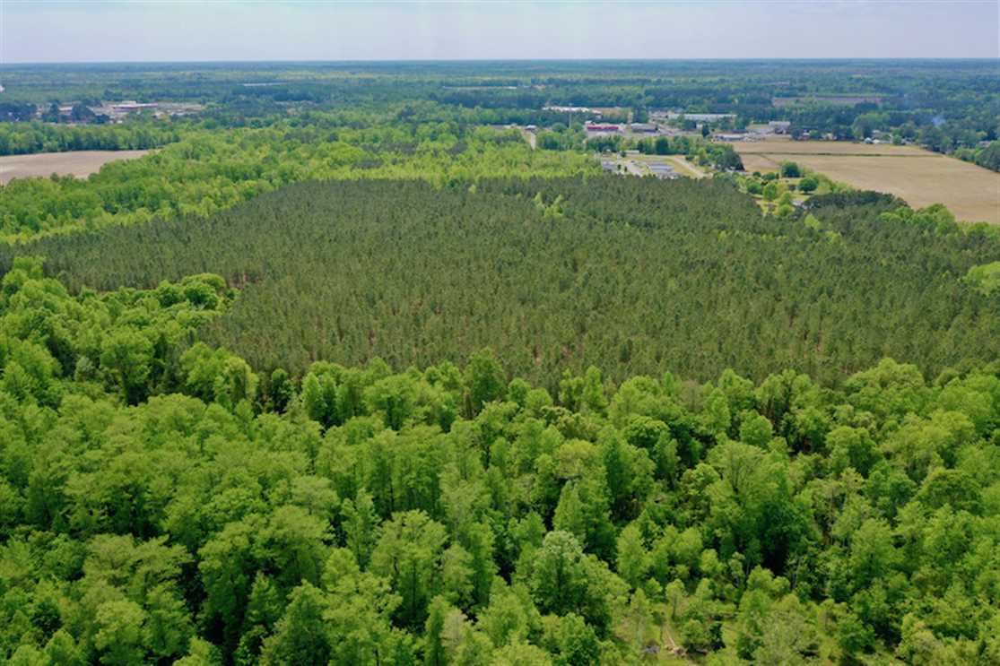 102 Acres of Land for sale in beaufort County, North Carolina
