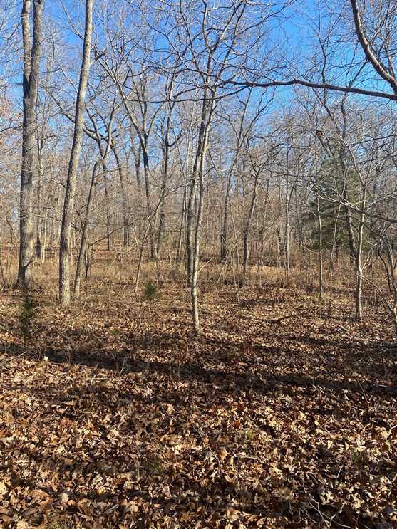 Land for sale to buy in 65326 zip code