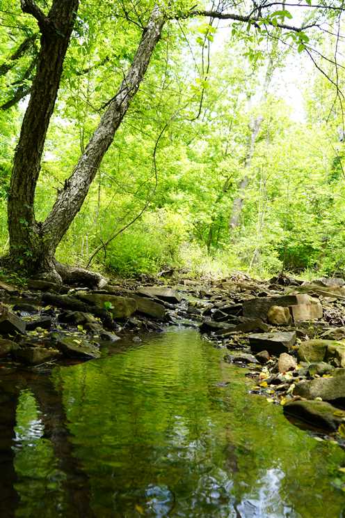 Residential and   property for sale on The Land Market