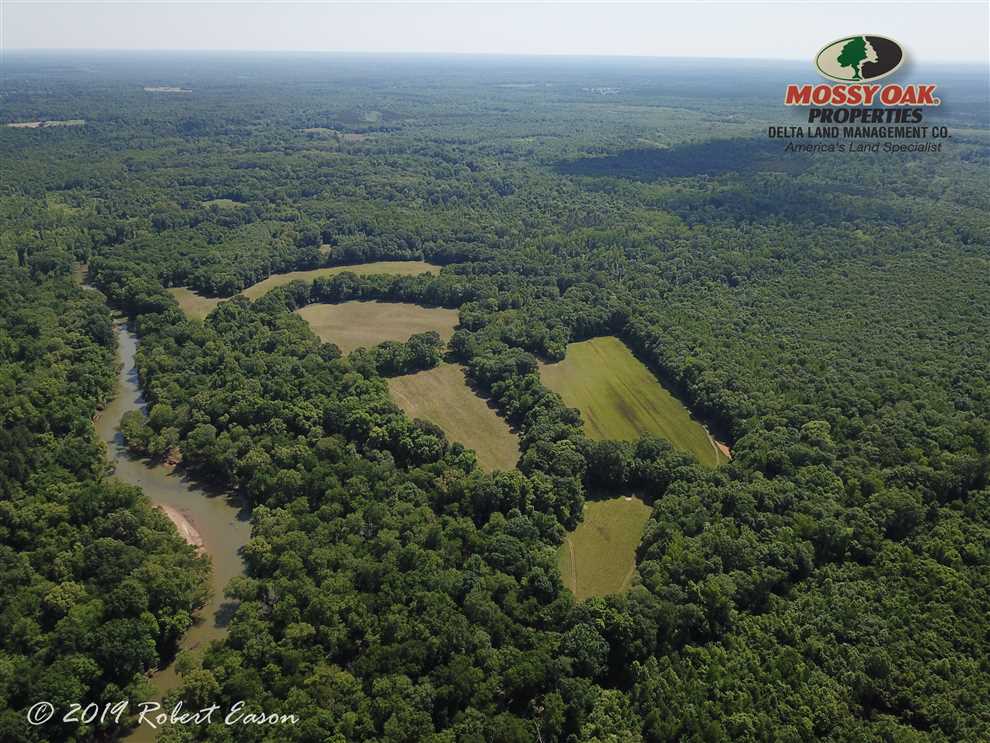 307 acres on Saline River Real estate listing