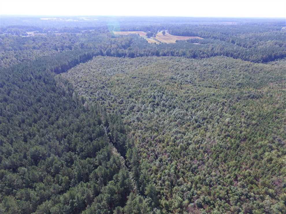 Land for sale to buy in 23840 zip code