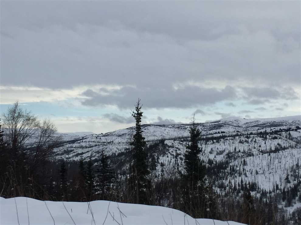 Houses and land for sale in Alaska