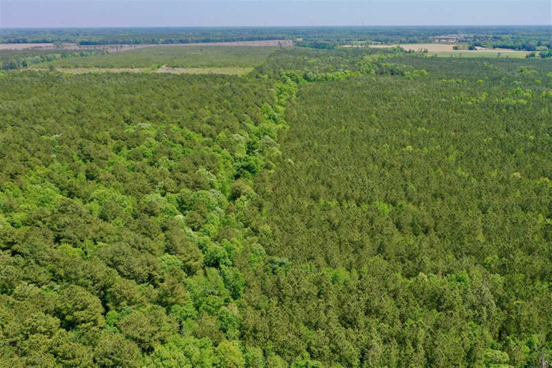Land for sale at Off Hwy 561